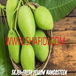 SBJEI -FRESH GREEN MANGO